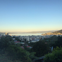 Aro Valley, Wellington