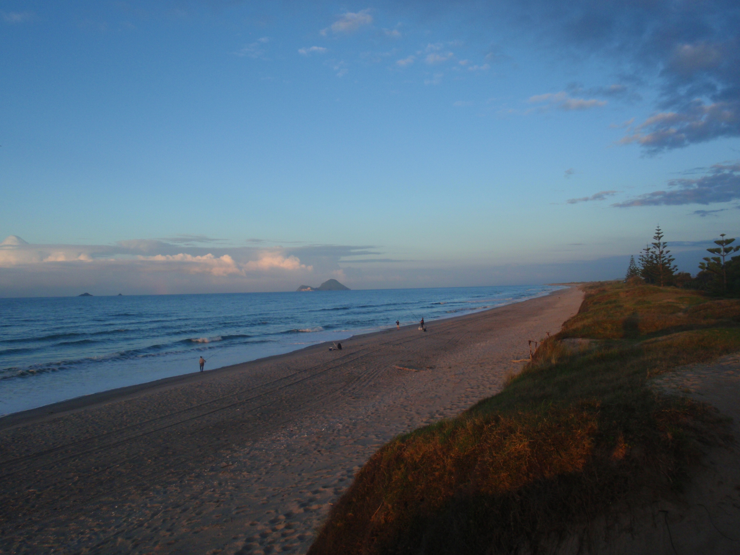 Bay of Plenty campsite
