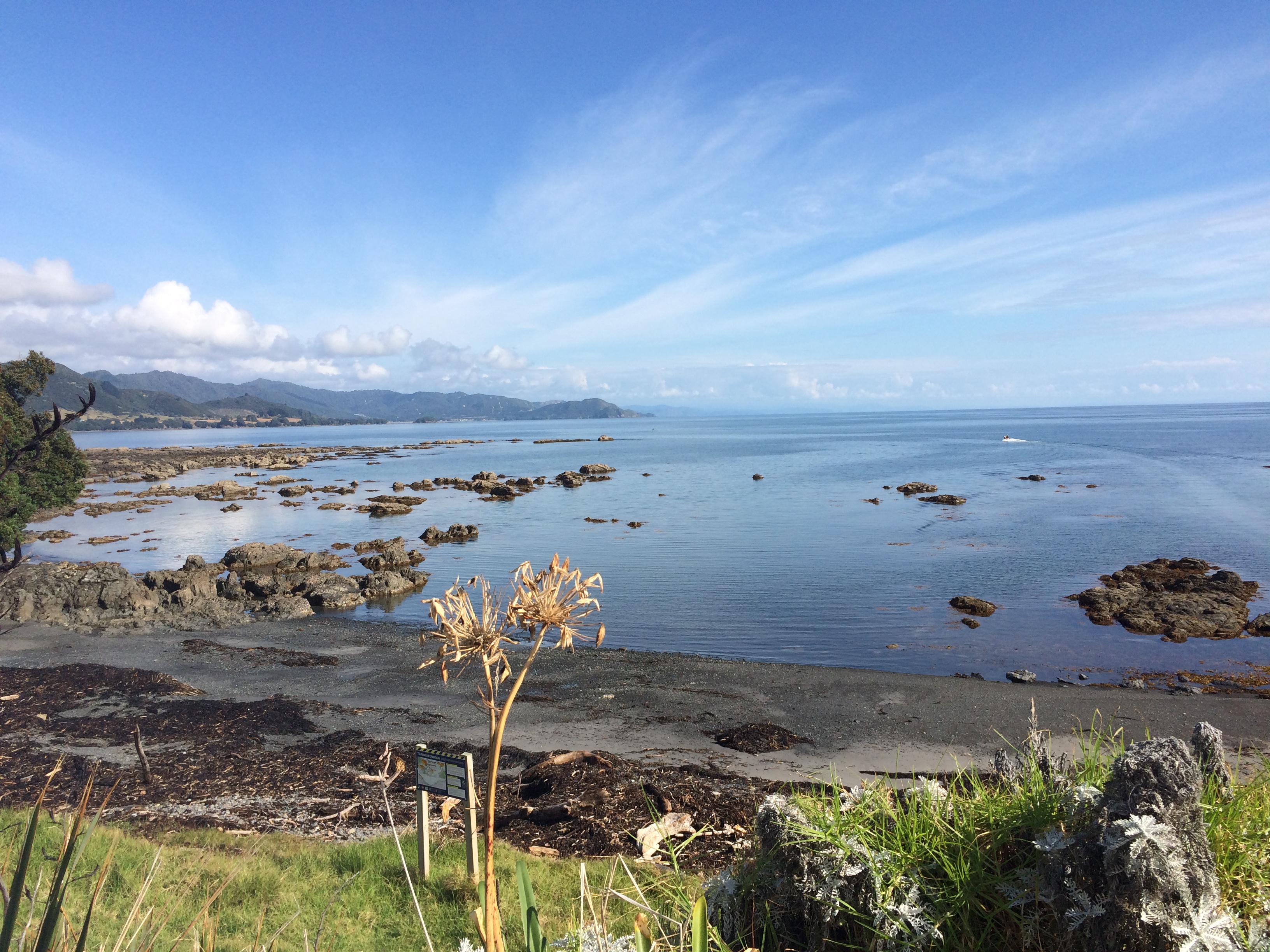 Bay of Plenty/East Cape