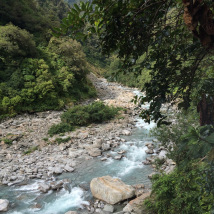 Franz Josef Glacier trail