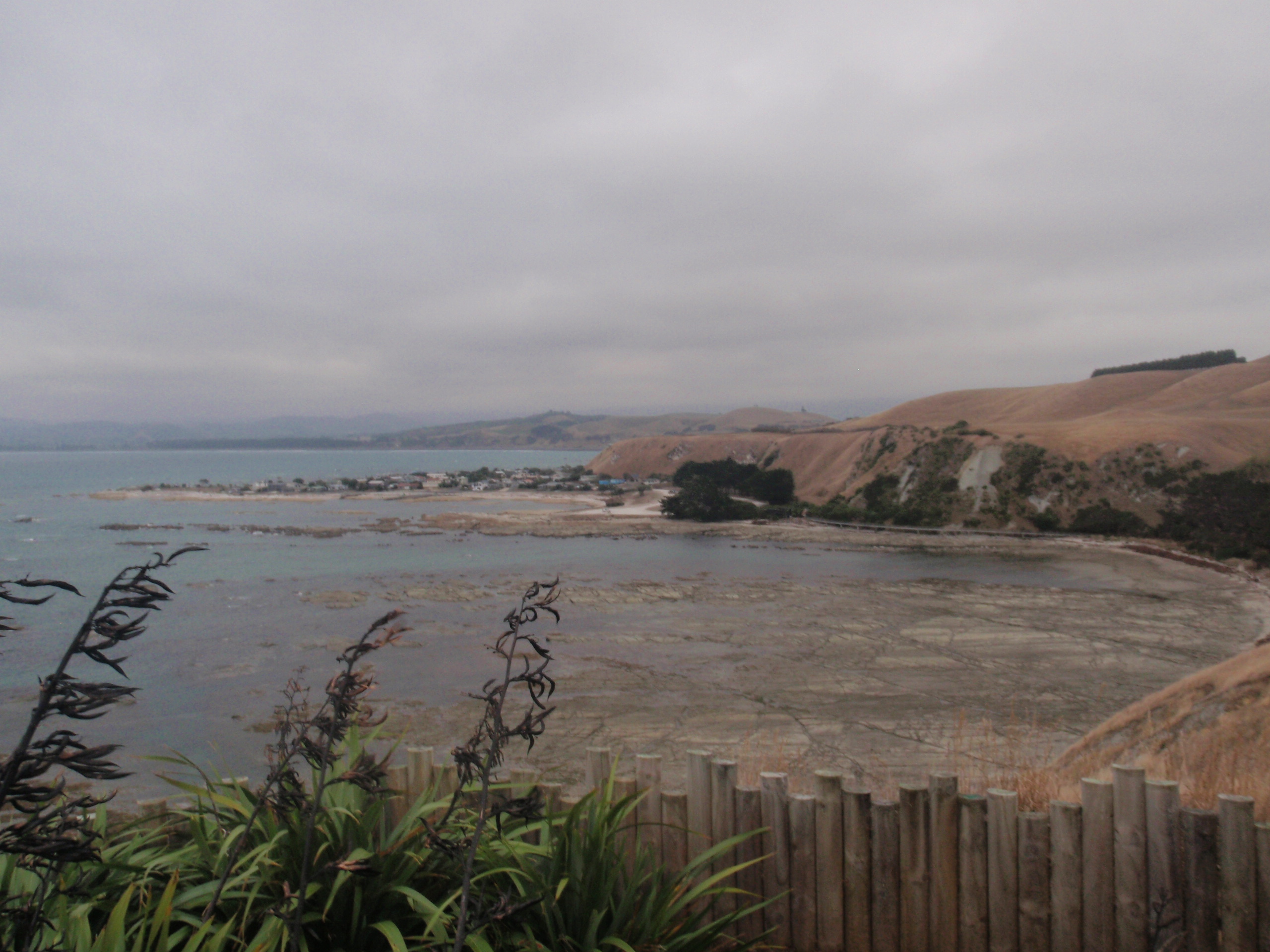 View from the Kaikoura Peninsula Walkway