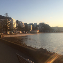 Oriental Parade, Wellington