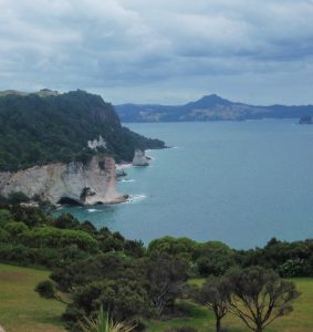 View from the bushwalk to Cathedral Cove