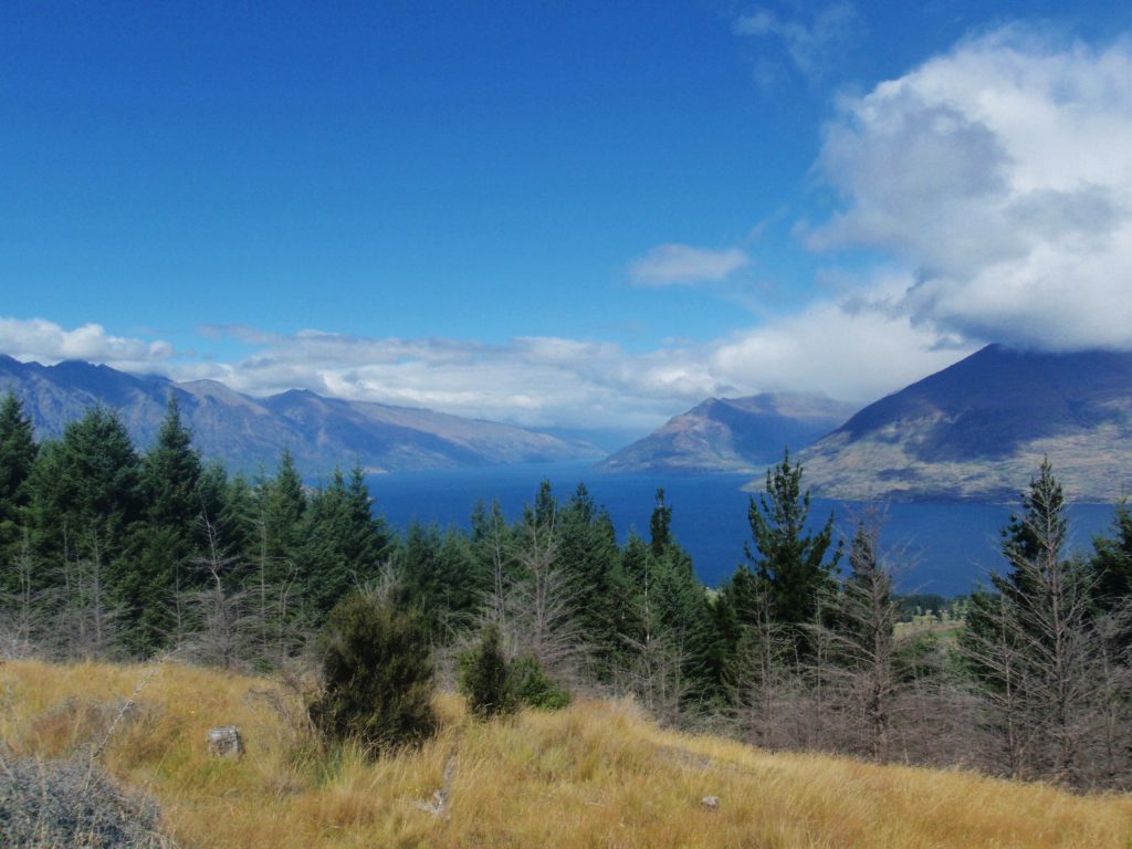 The view from Queenstown Hill