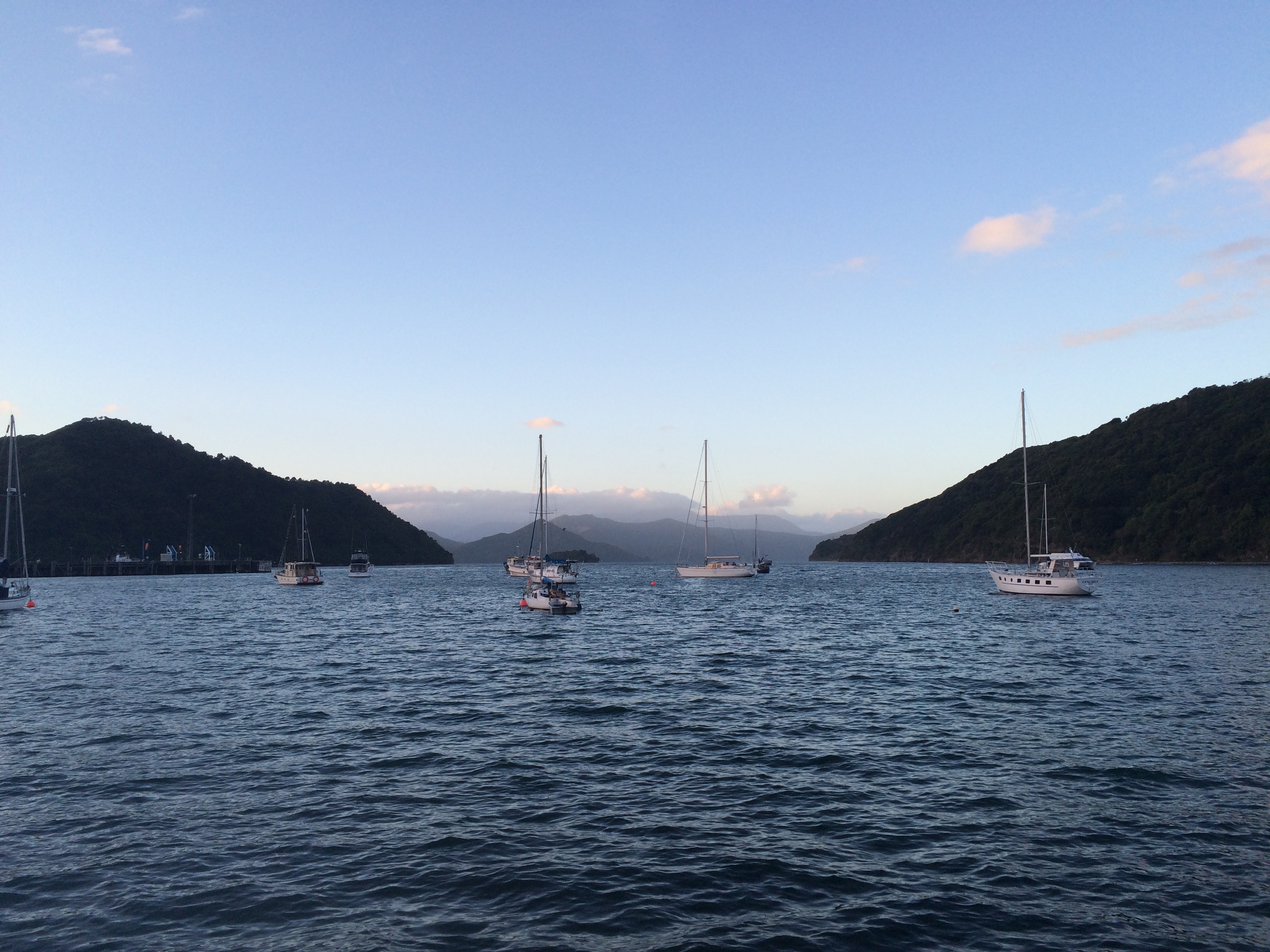 Picton