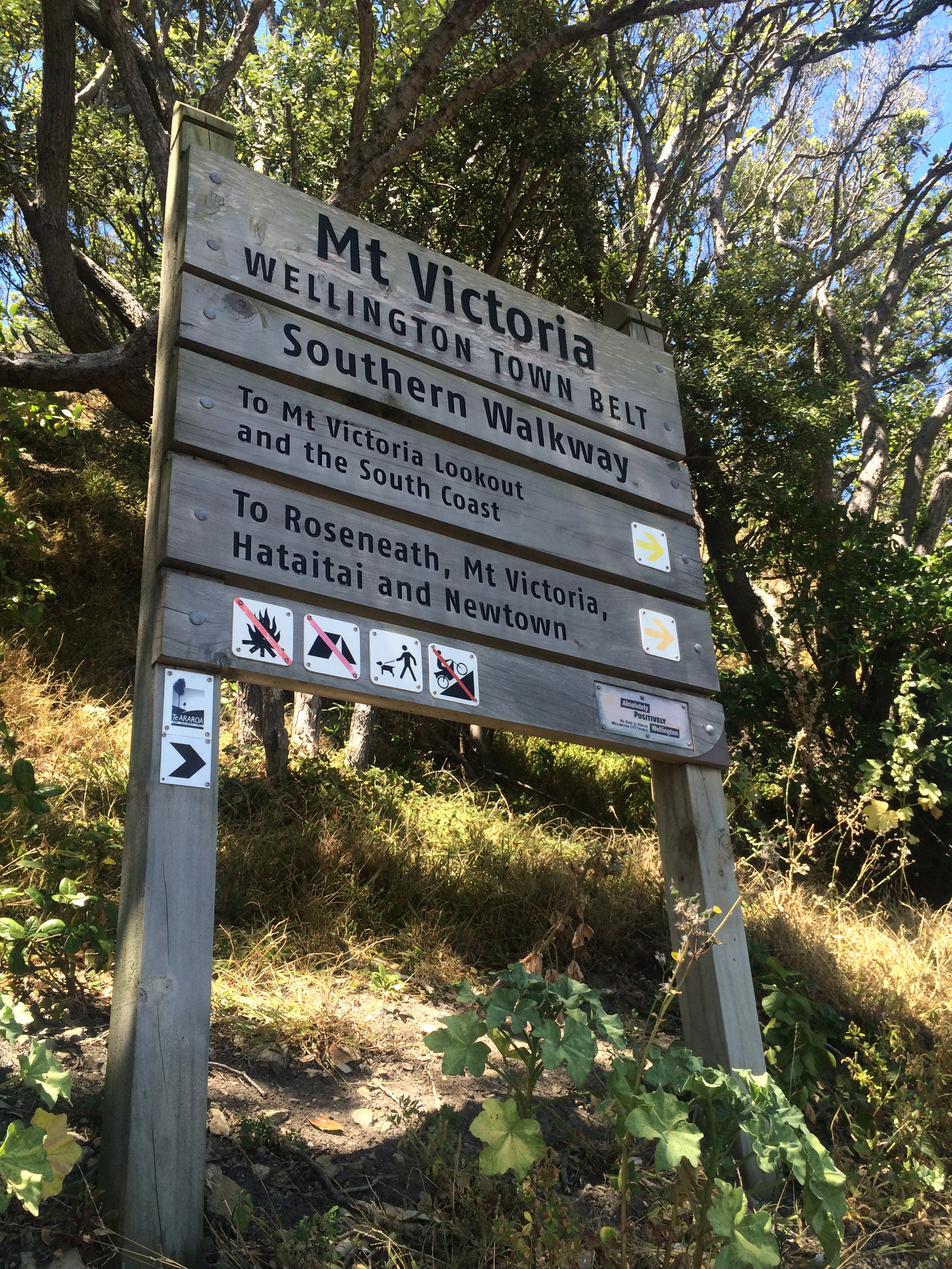 Scaling Mt Victoria
