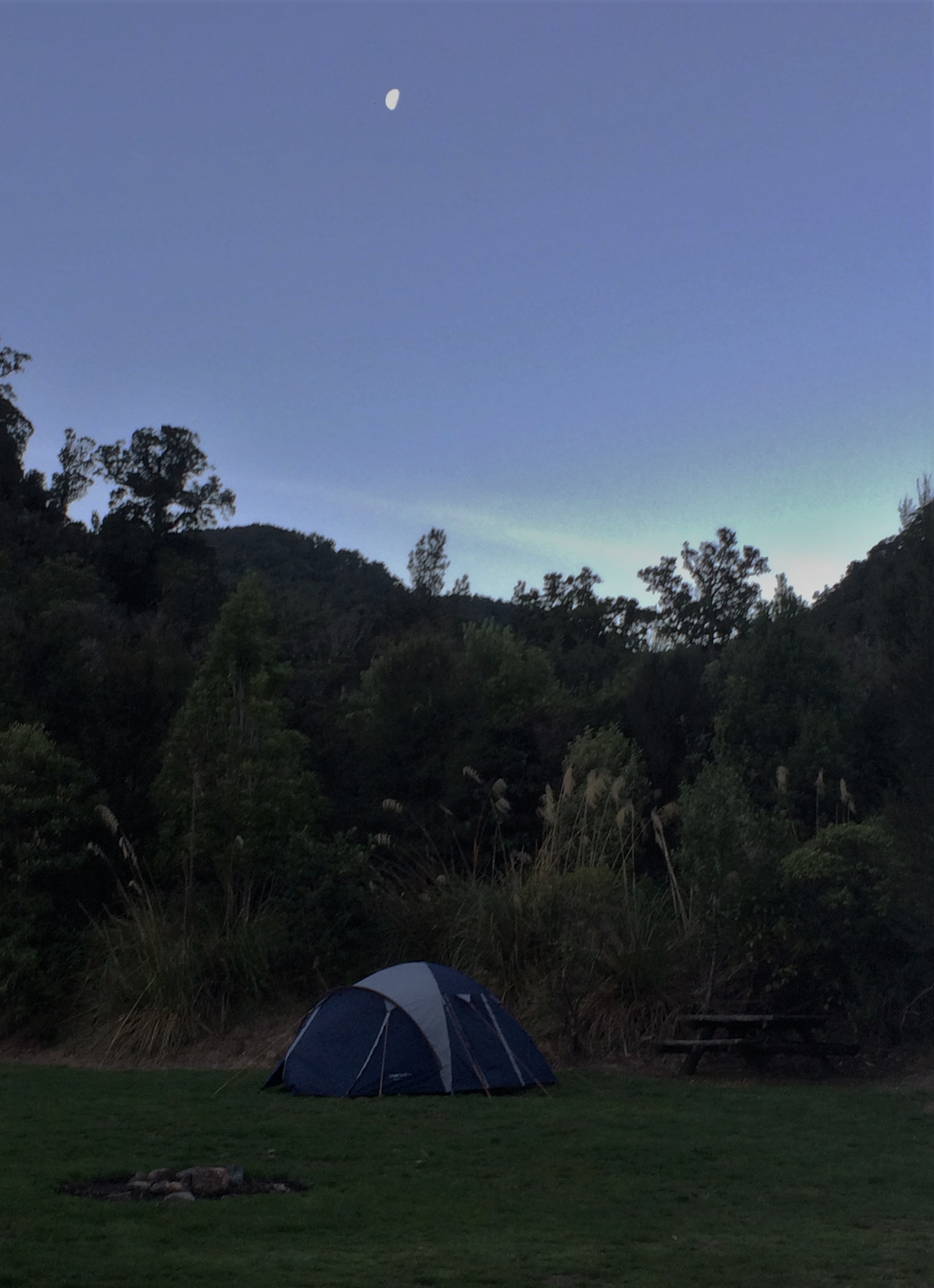 Camping spot in the Waiohine Gorge