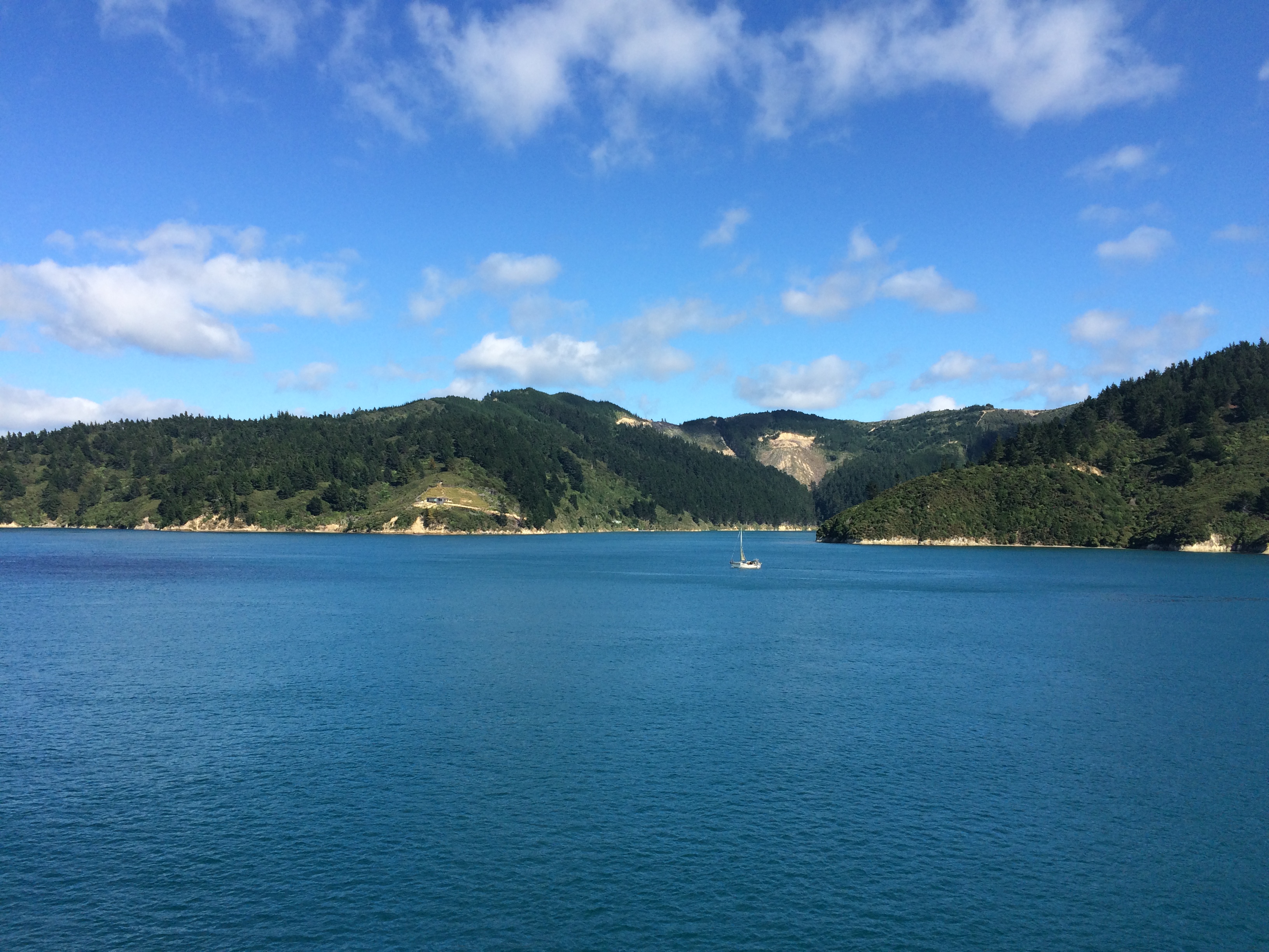 Queen Charlotte Sounds