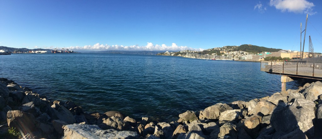 Wellington Harbour