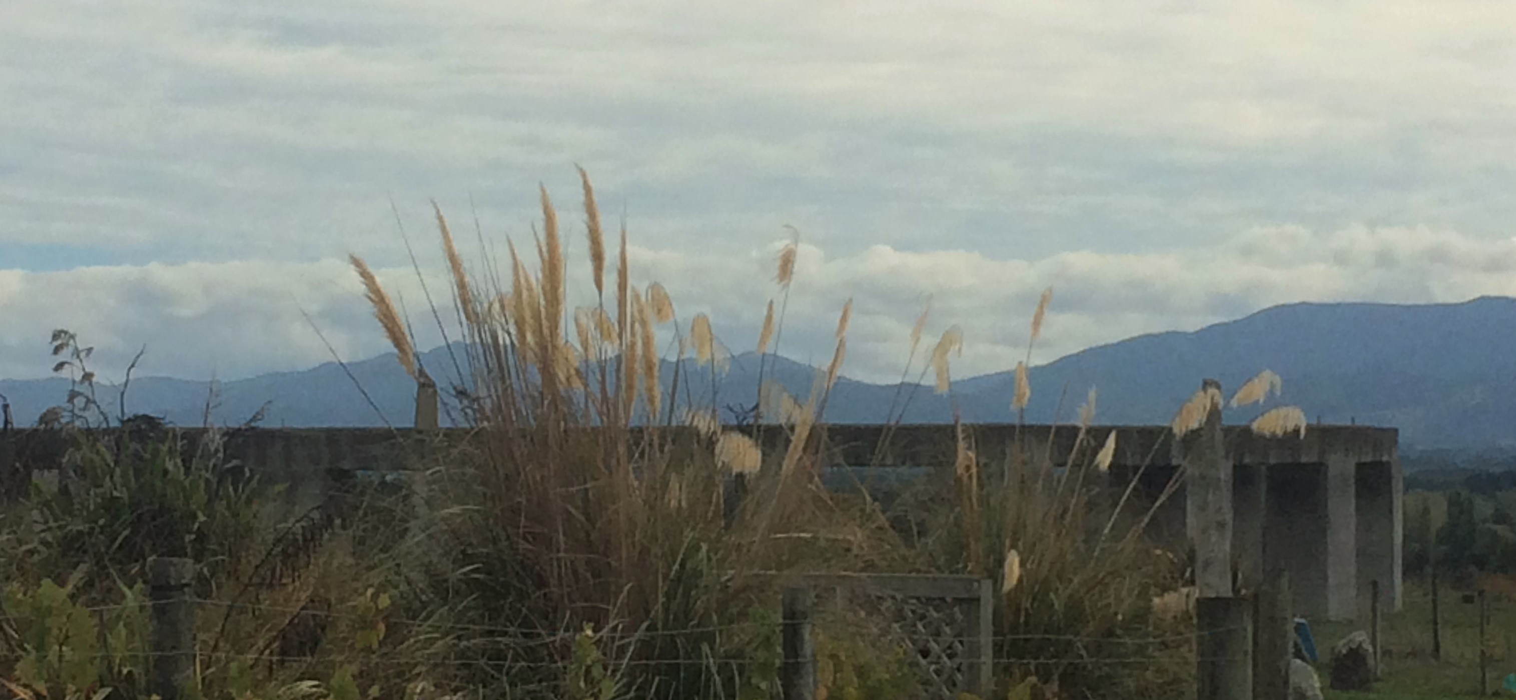 Stonehenge Aotearoa