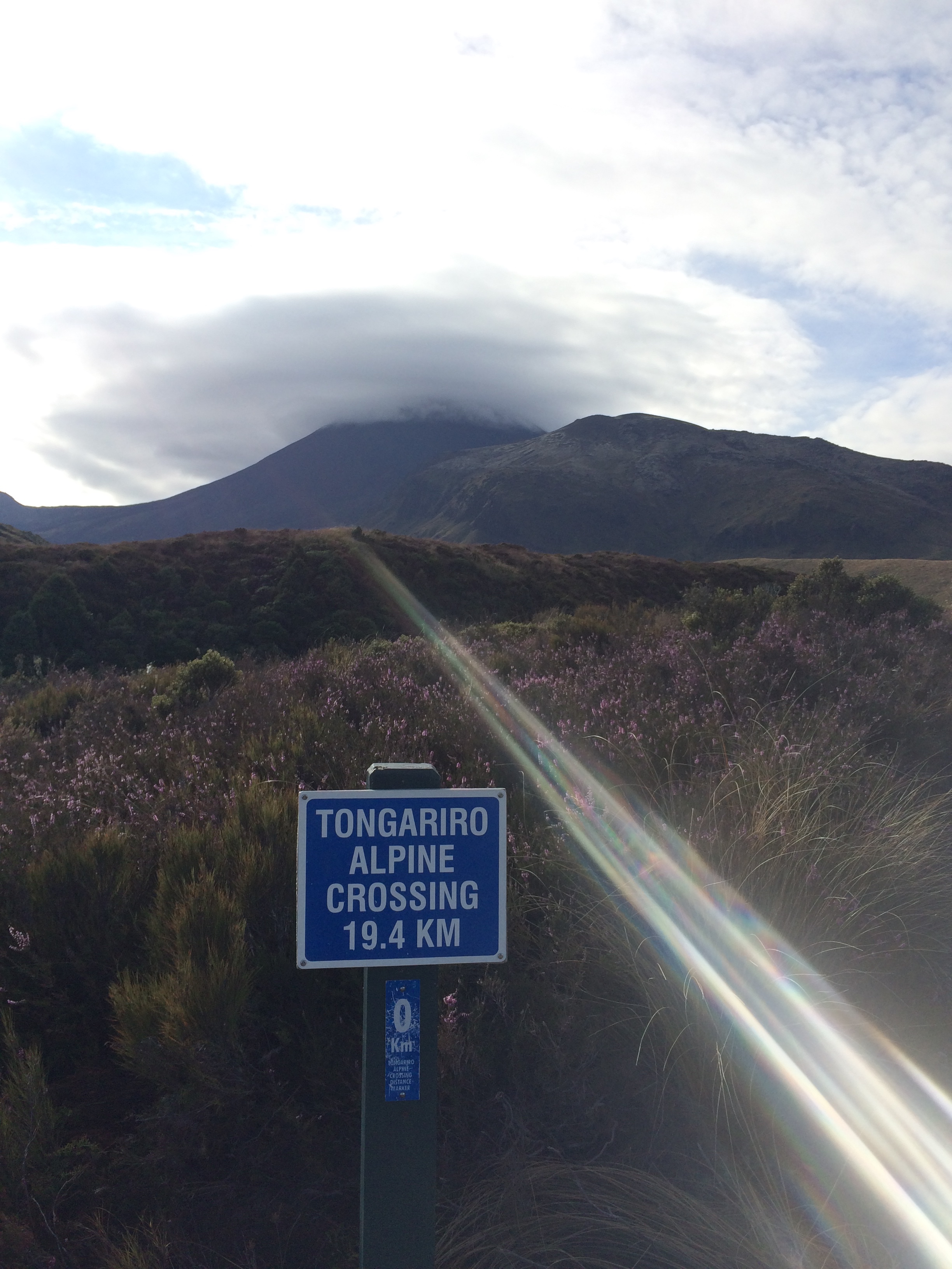 The start of the Tongariro Alpine Crossing, just 19.4km to go!