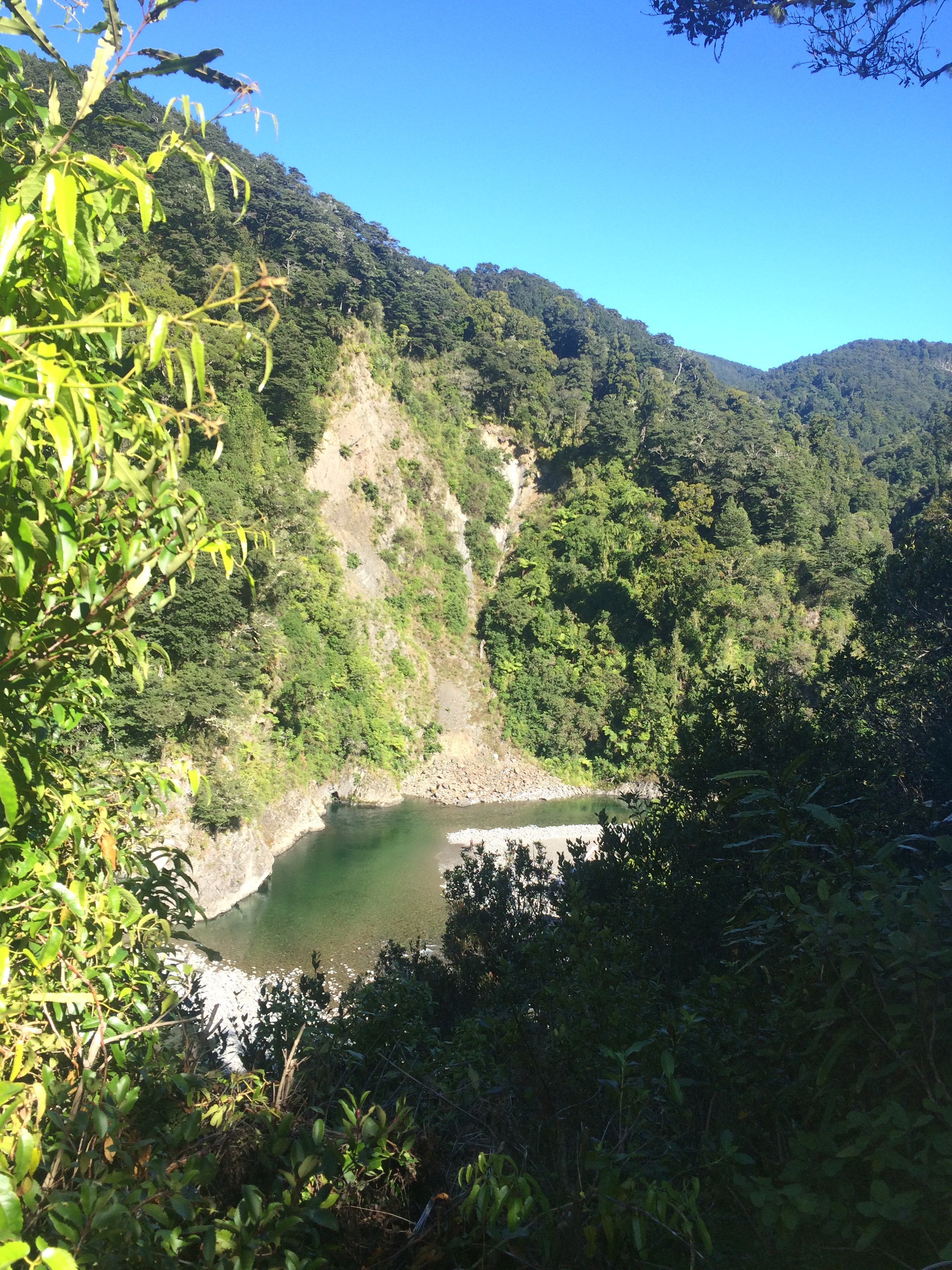 Waiohine Gorge